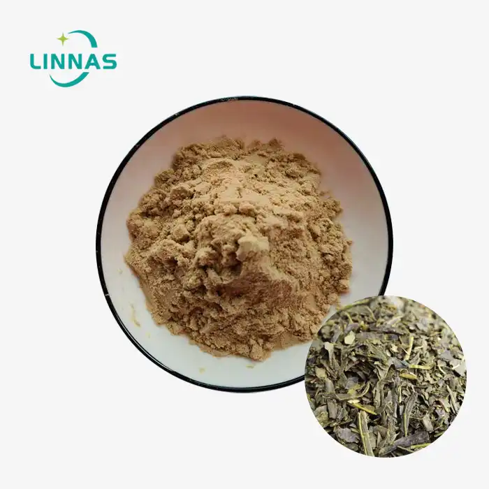 Herba Lysimachiae Extract Powder